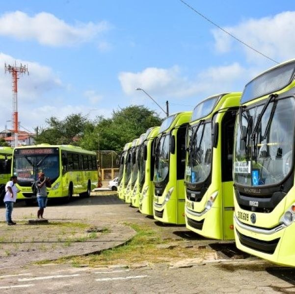 onibus-parados-foto-mauricioalexandre.jpg
