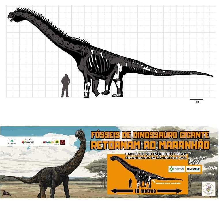 Imagem do WhatsApp de 2025-07-30 à(s) 08.04.07_7344e895.jpg