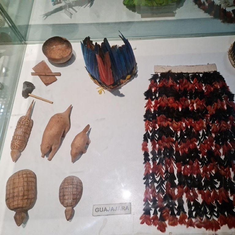 Coçares e objetos em forma de tatu da etnia  Guajajara, em exibição no Centro de Pesquisa de História Natural de Arqueologia do Maranhão.jpg