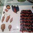 Coçares e objetos em forma de tatu da etnia  Guajajara, em exibição no Centro de Pesquisa de História Natural de Arqueologia do Maranhão.jpg