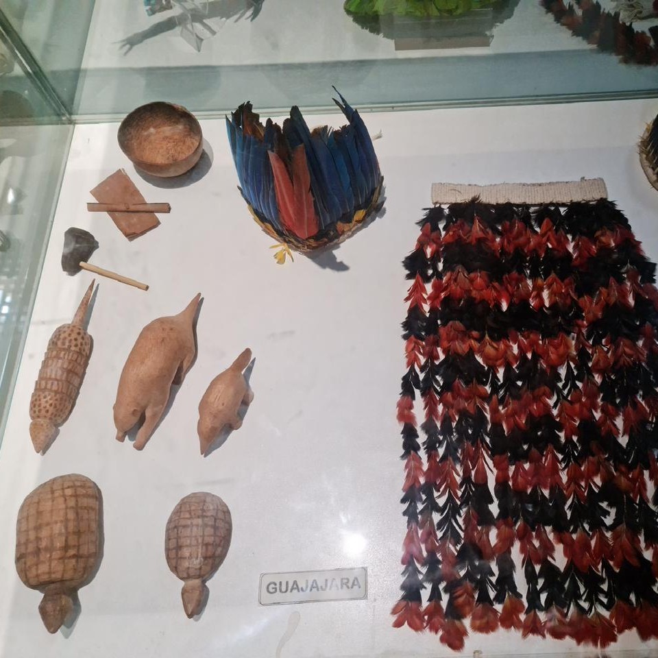 Coçares e objetos em forma de tatu da etnia  Guajajara, em exibição no Centro de Pesquisa de História Natural de Arqueologia do Maranhão.jpg