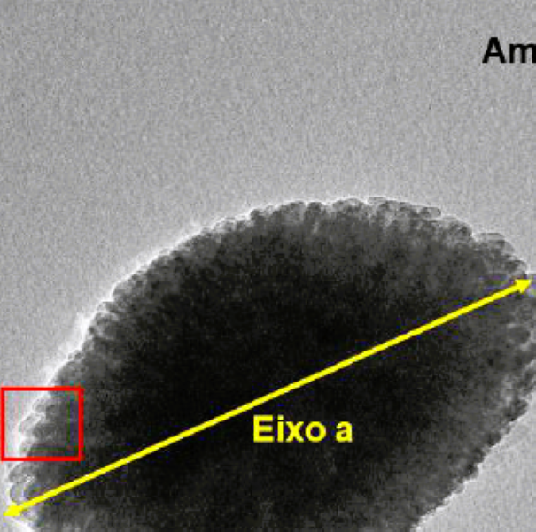 radio_ciencia_imagem 1.PNG