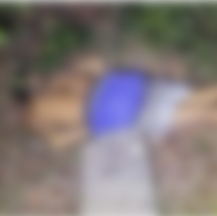 Imagem do WhatsApp de 2025-06-05 à(s) 08.58.04_3fd8650a.jpg