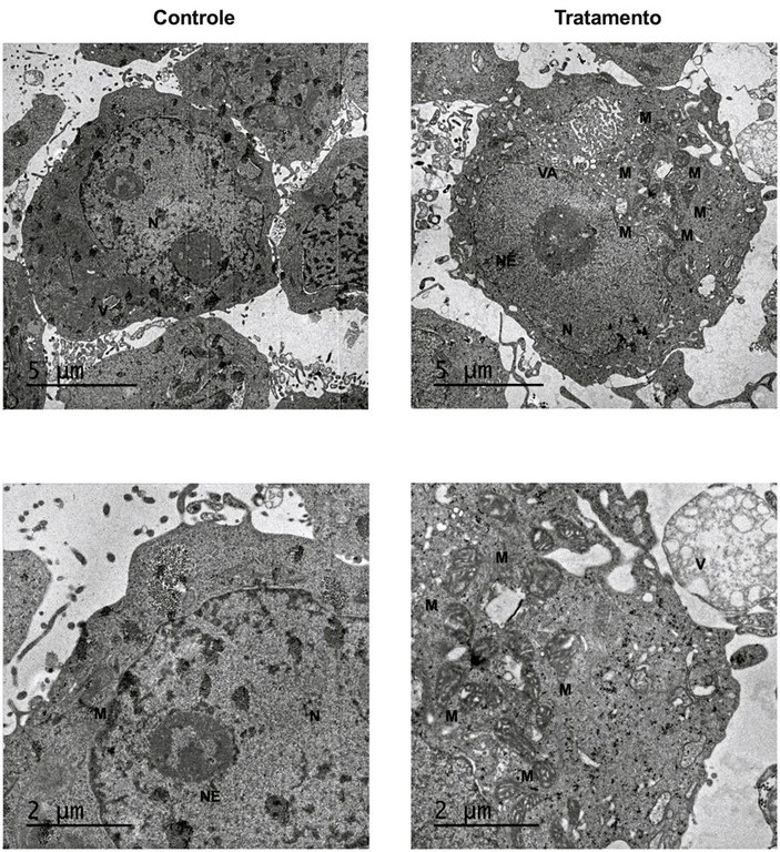 Estudantes do IEMA desenvolvem sistema de monitoramento ambiental para pescadores.jpg