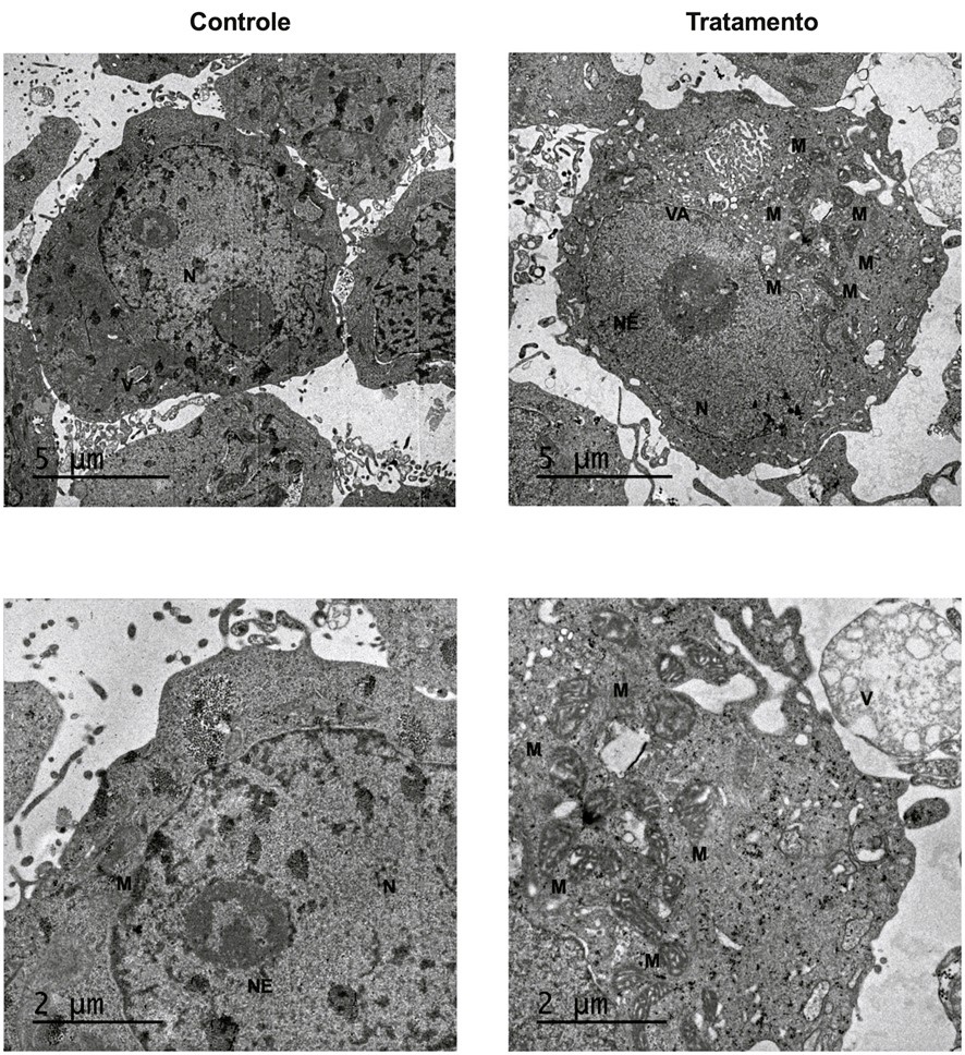 Estudantes do IEMA desenvolvem sistema de monitoramento ambiental para pescadores.jpg