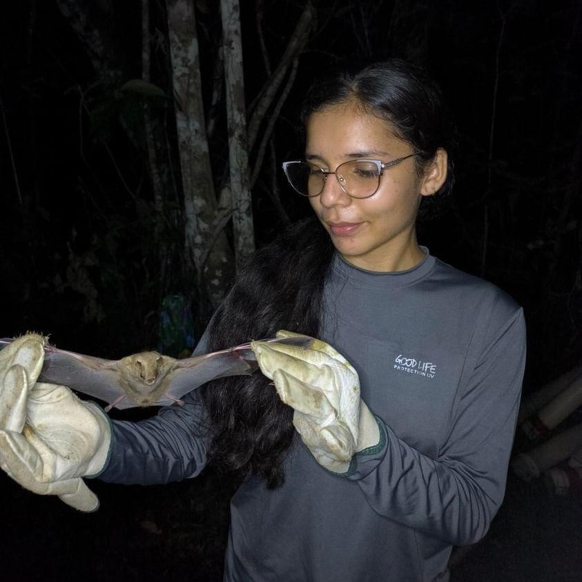 As espécies foram coletadas em diversas cidades do estado para análise de genes e de características físicas.jpg