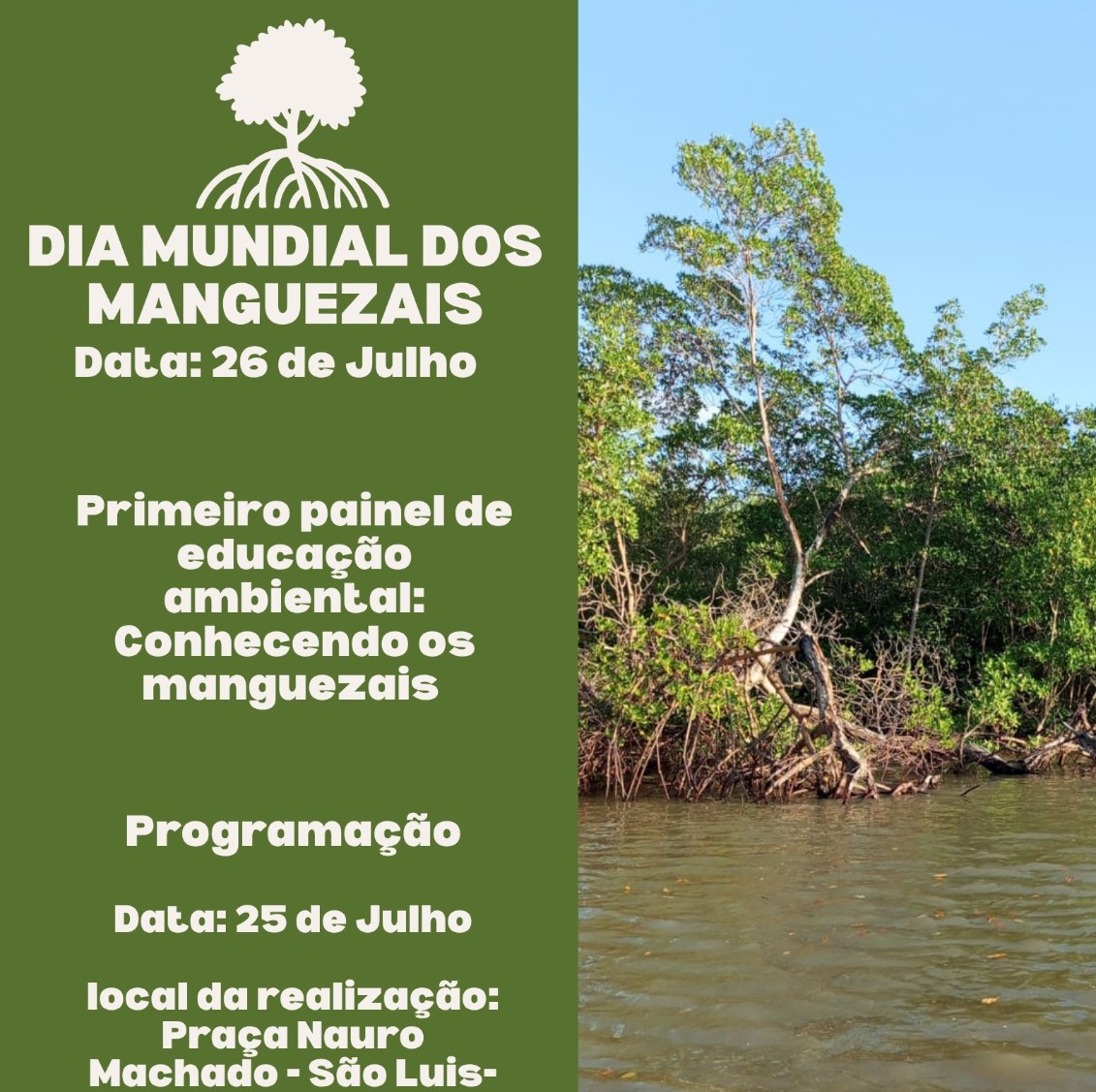 Imagem do WhatsApp de 2025-07-23 à(s) 11.27.32_82878bf2.jpg