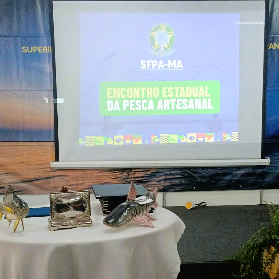 Imagem do WhatsApp de 2025-09-05 à(s) 14.24.32_4055713d.jpg