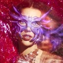 WhatsApp Image 2026-01-12 at 08.41.50.jpg