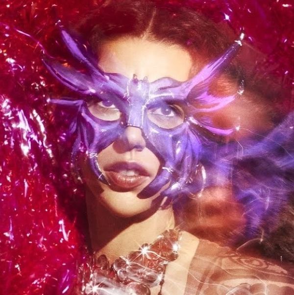 WhatsApp Image 2026-01-12 at 08.41.50.jpg