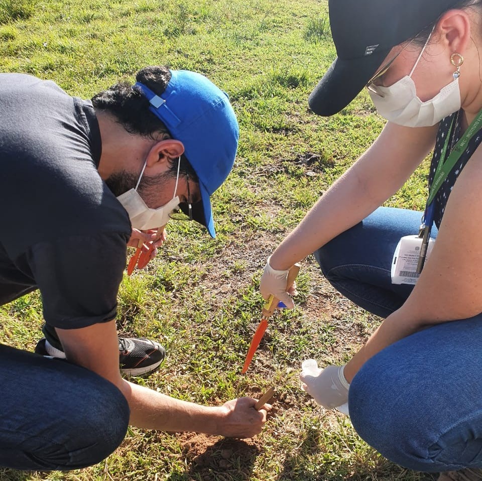 Coleta de leveduras em solo de fazenda de Itapecuru