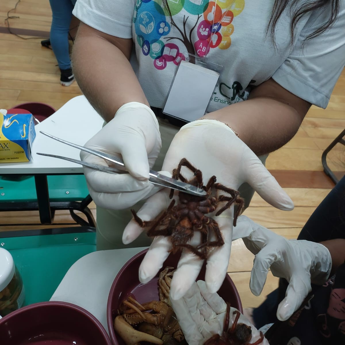 Imagem do WhatsApp de 2025-06-26 à(s) 11.41.11_4d34010f.jpg