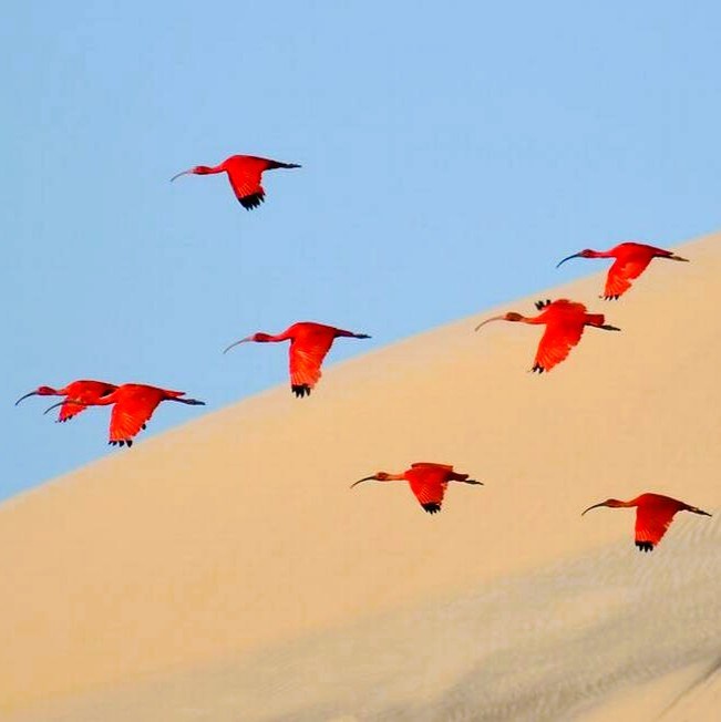 Lençóis Foto Jonathan Jagot.jpg