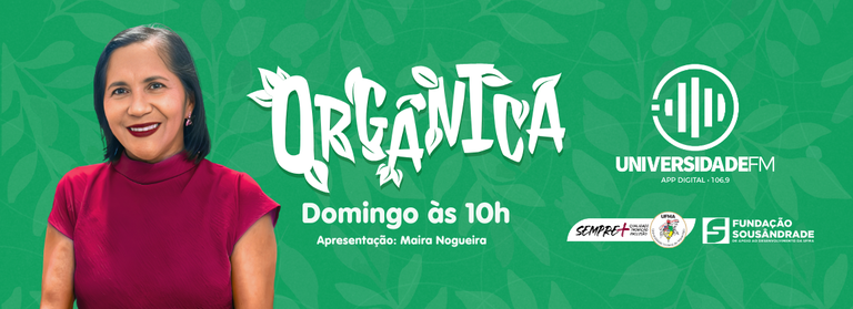 Santo de Casa (2).png