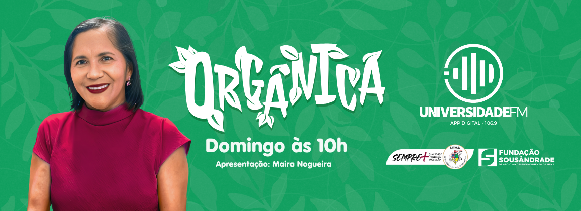 Santo de Casa (2).png