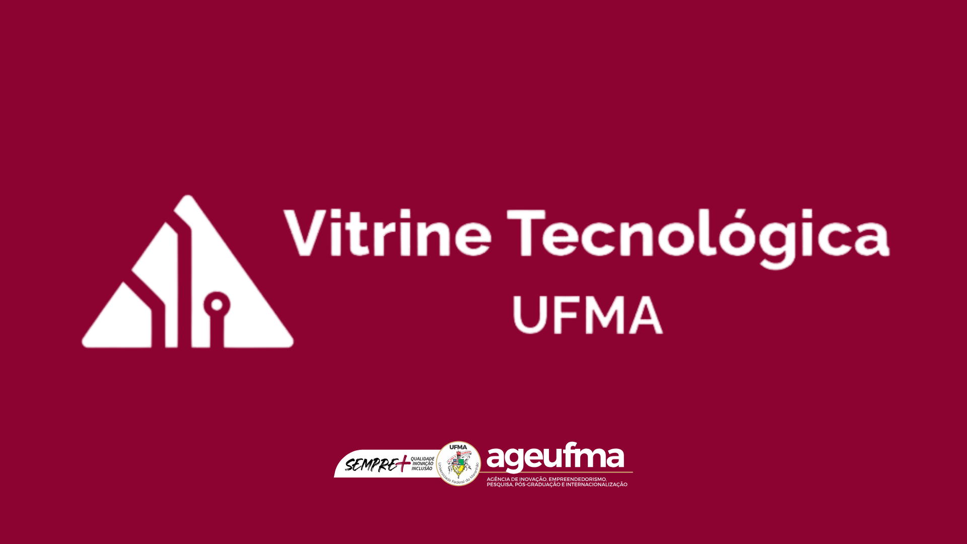 IMAGEM SELETIVO (2).png