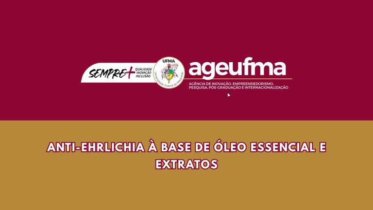 PATENTE DE INVENÇÃO (20).jpg