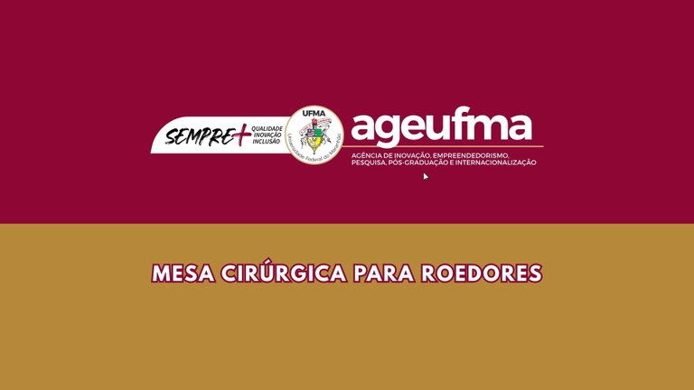 PATENTE DE INVENÇÃO (21).jpg