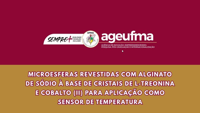 PATENTE DE INVENÇÃO (34).jpg