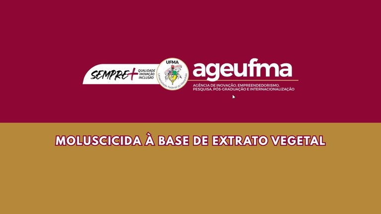 PATENTE DE INVENÇÃO (36).jpg