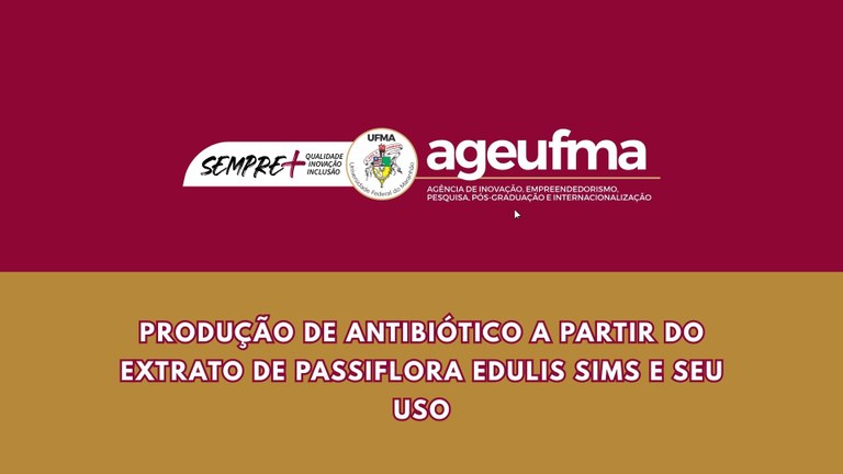 PATENTE DE INVENÇÃO (10).jpg