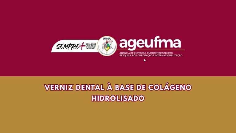 PATENTE DE INVENÇÃO (30).jpg